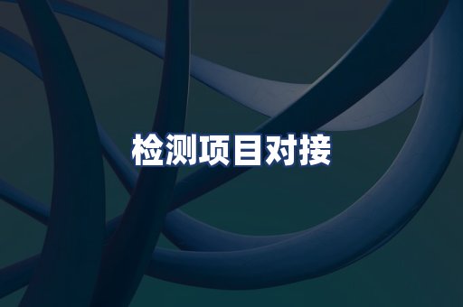 检测项目对接